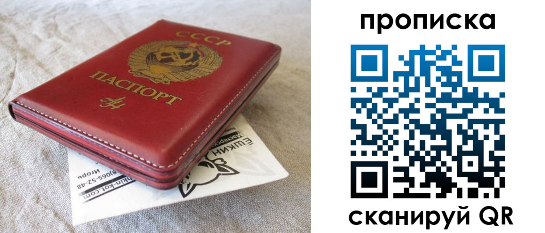 прописка для школы в Котовске